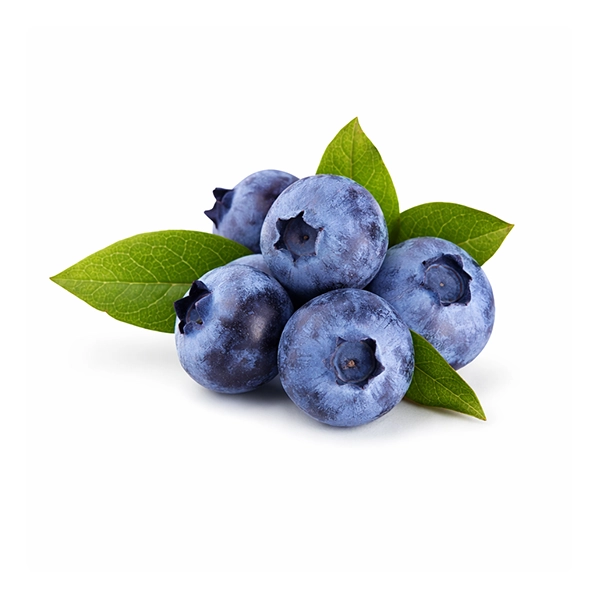 bilberry-ingredient-igenics-eye-health